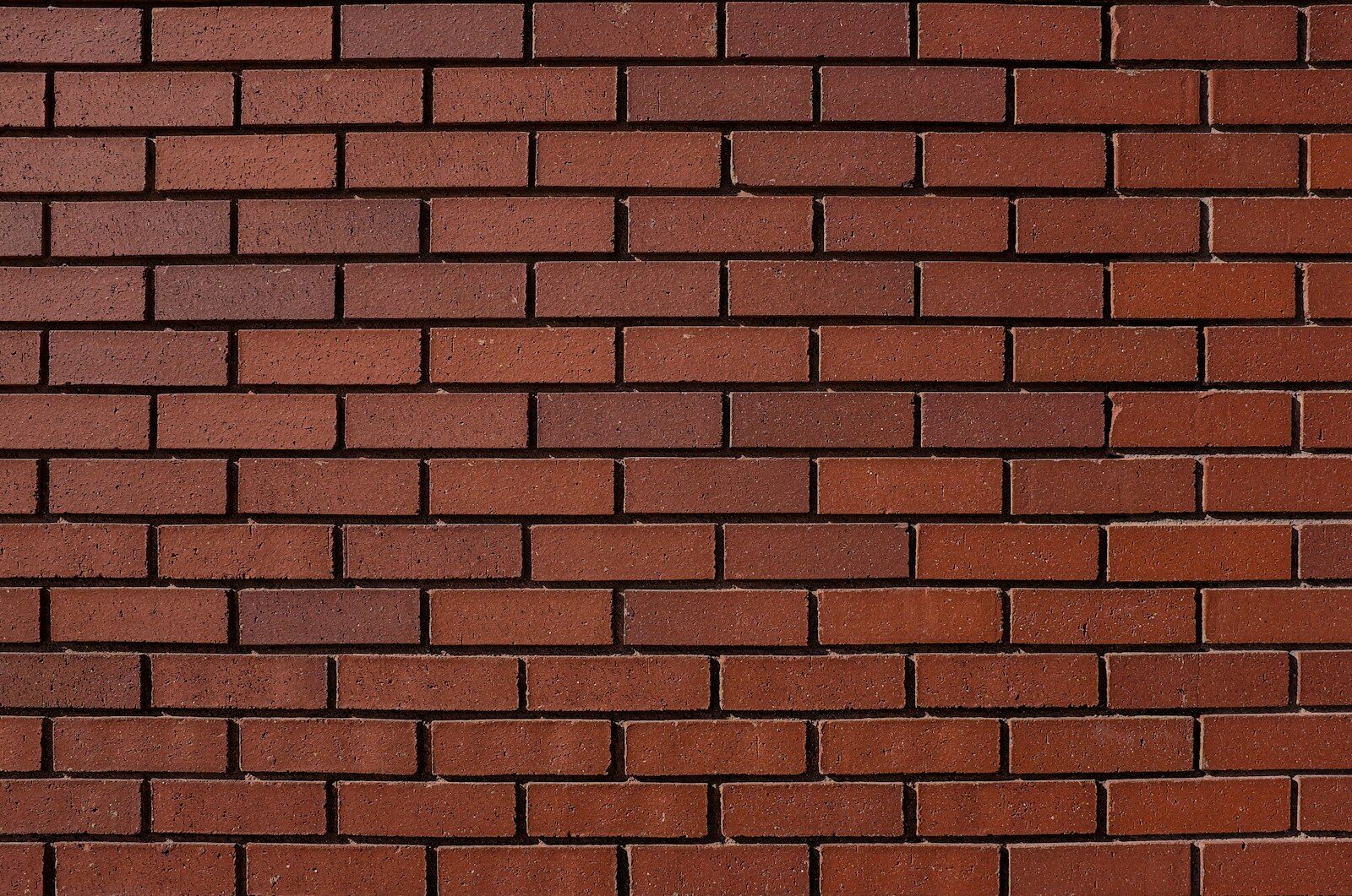 Quand les mots deviennent des murs